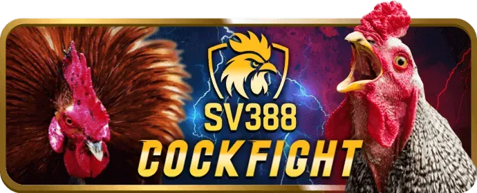 Nổ hũ bet vnd888